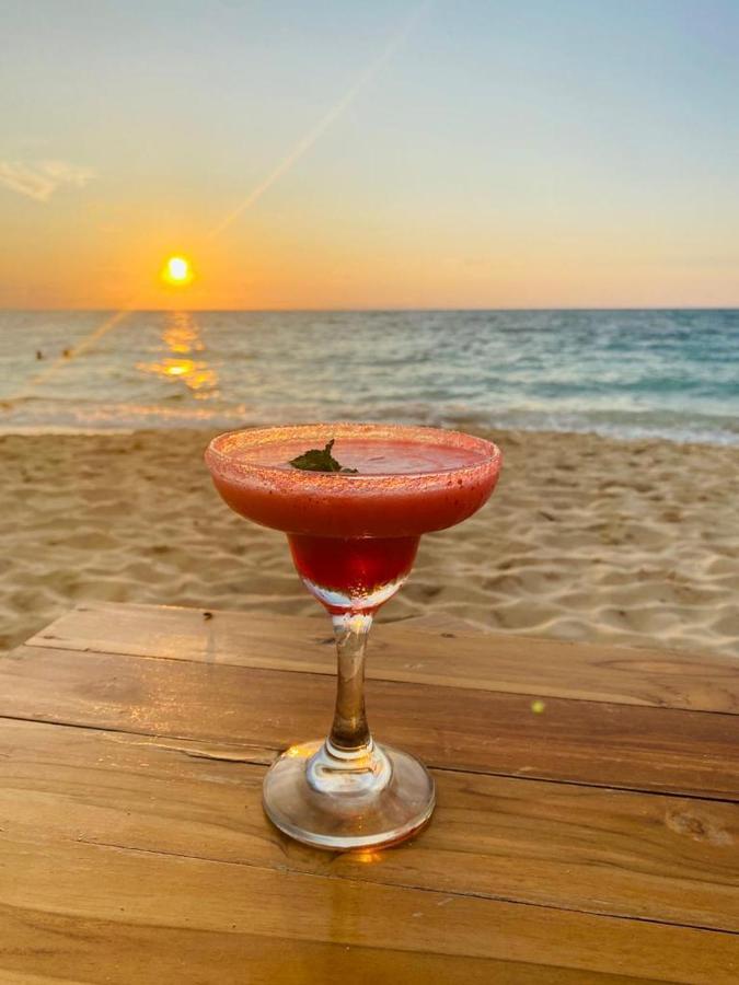 Venido Del Mar Beach Isla Barú Exteriör bild
